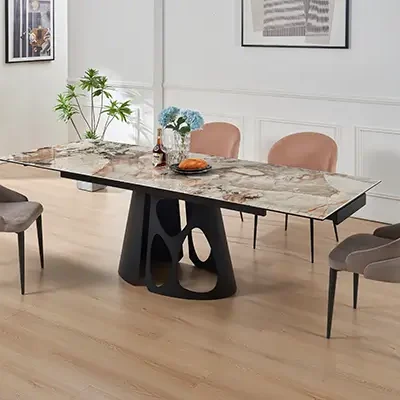 DT9049 Mesa extensible