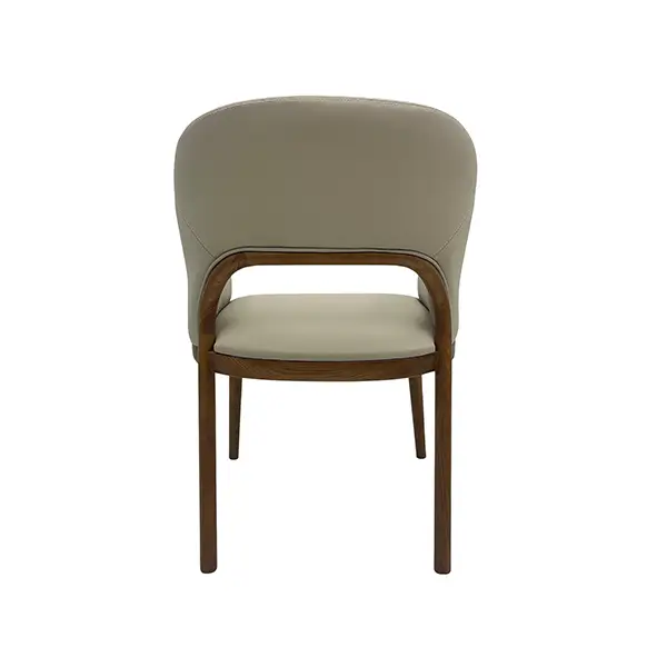 DC1238 Accent Chair back view