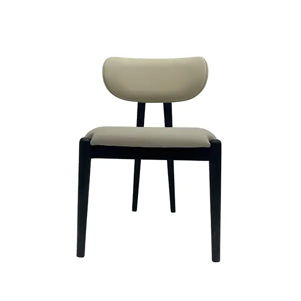 DC1240 modern wooden chair front view