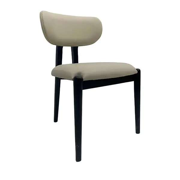 DC1240 modern wooden chair side view